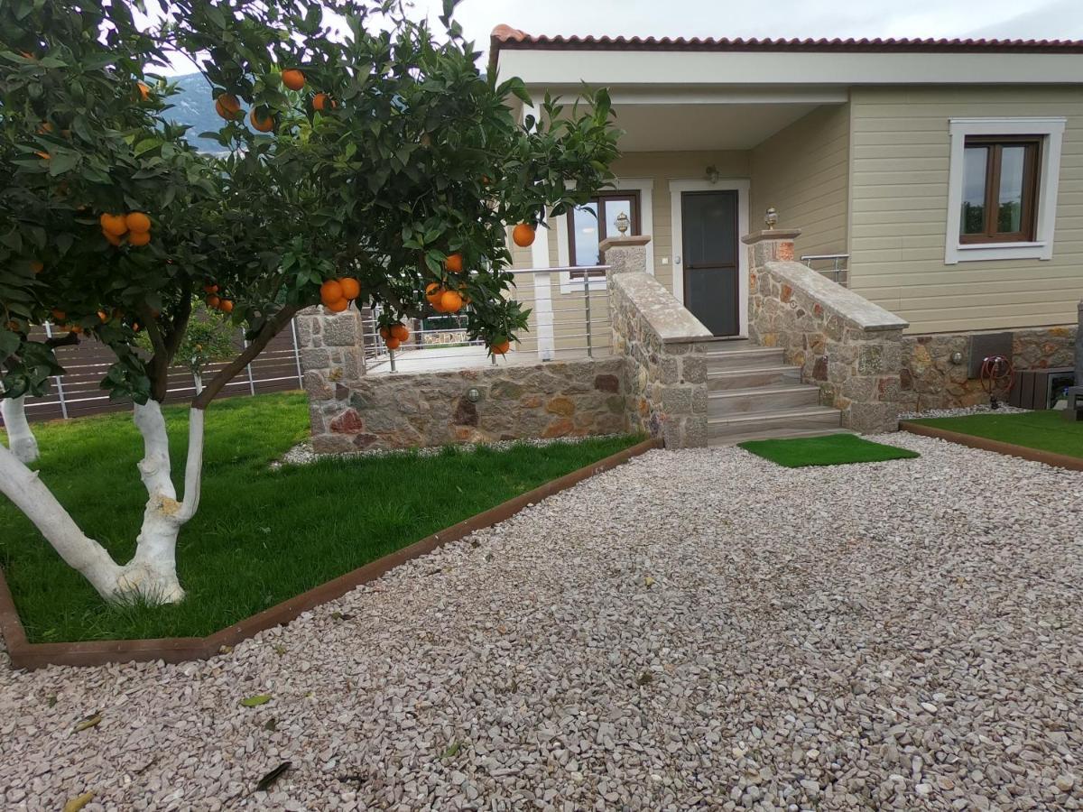 Desa Green Homes Epidaurus Eksteriør bilde